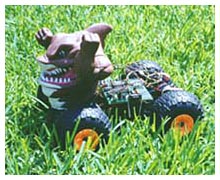 YaTu in the grass